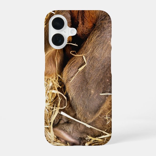 PIGS iPhone 16 CASE (Back)
