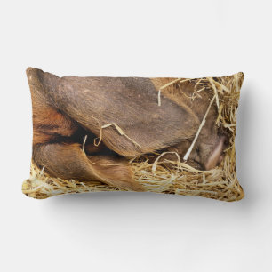 PIGS LUMBAR CUSHION