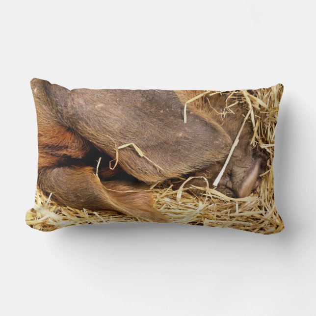 PIGS LUMBAR CUSHION (Front)