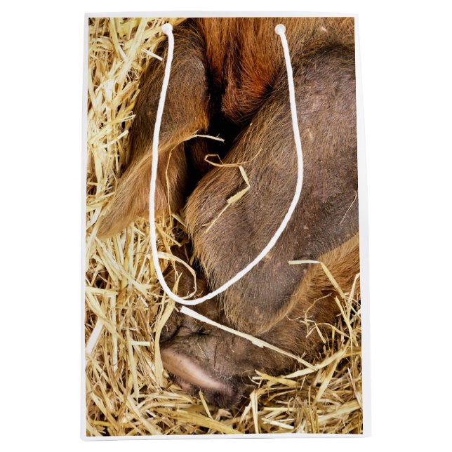 PIGS MEDIUM GIFT BAG (Front)