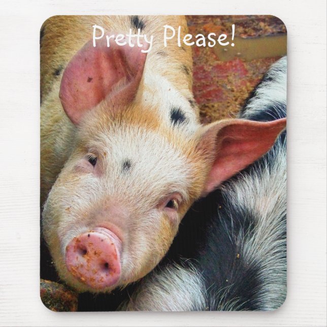 PIGS MOUSE PAD (Front)