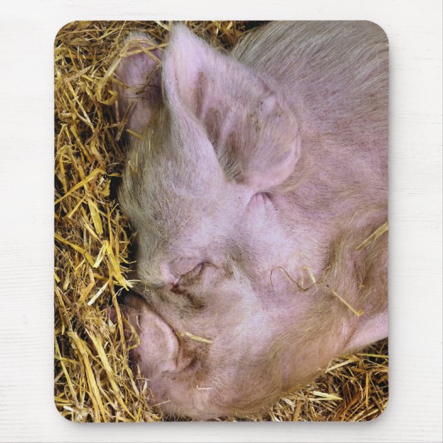 PIGS MOUSE PAD (Front)