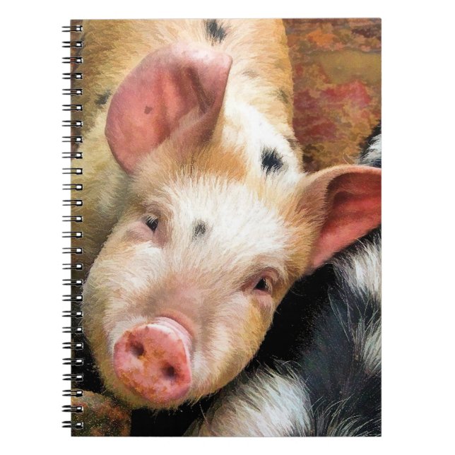 PIGS NOTEBOOK (Front)