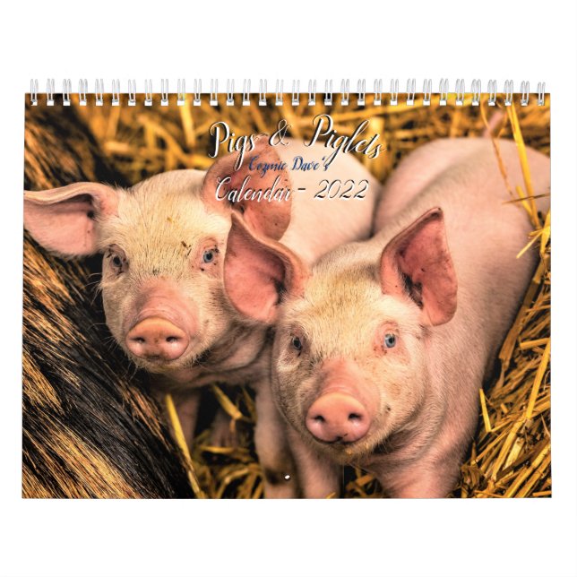 Pigs & Piglets Calendar - 2022 (Cover)