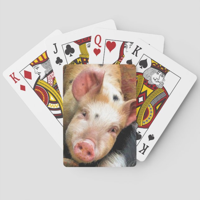 PIGS  PLAYING CARDS (Back)