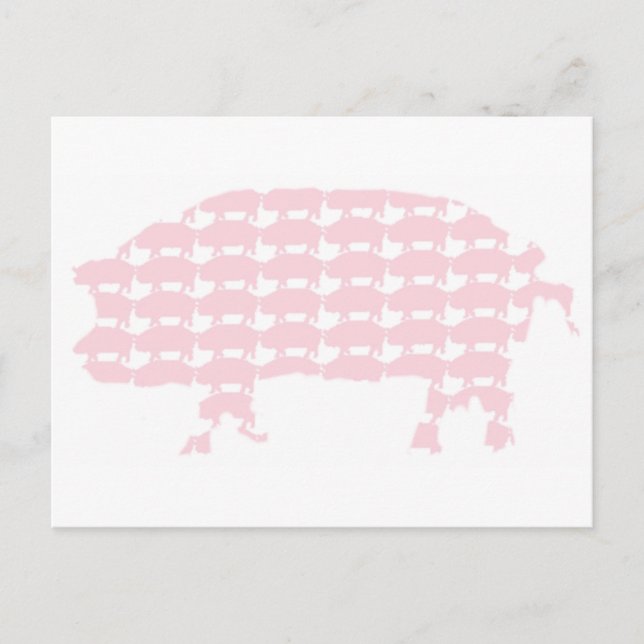 Pigs Postcard (Front)