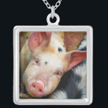 PIGS SILVER PLATED NECKLACE<br><div class="desc">This cute little pig just wants to say "Hi"! England UK.  


com</div>