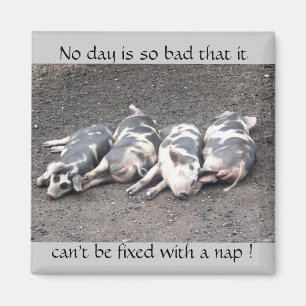 Pigs sleeping magnet