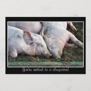 Pigs sleeping, sleepover invitation