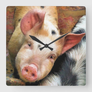 PIGS SQUARE WALL CLOCK