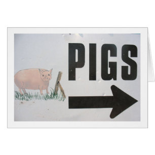 Pigs This Way