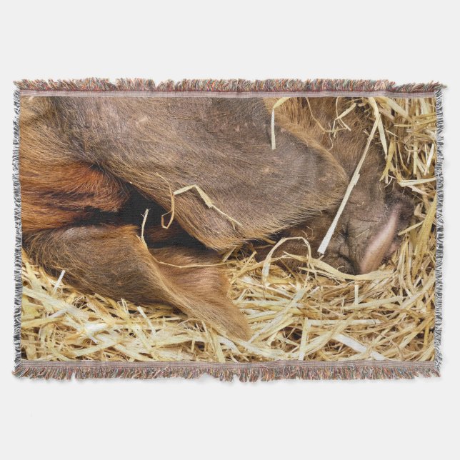 PIGS THROW BLANKET (Front)