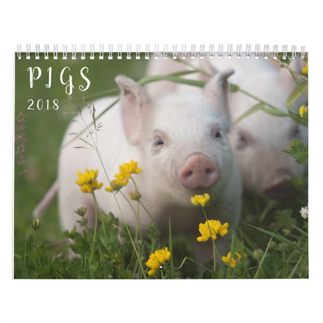 Pigs Wall Calendar - Smile in 2018 (Cover)