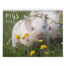 Pigs Wall Calendar - Smile in 2018