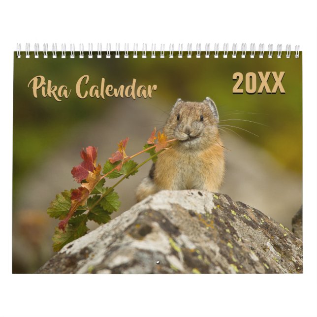 PIka 2026 Calendar (Cover)