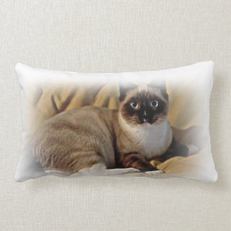 Pika-a-Choo Snowshoe rescue Kitten throw pillow
