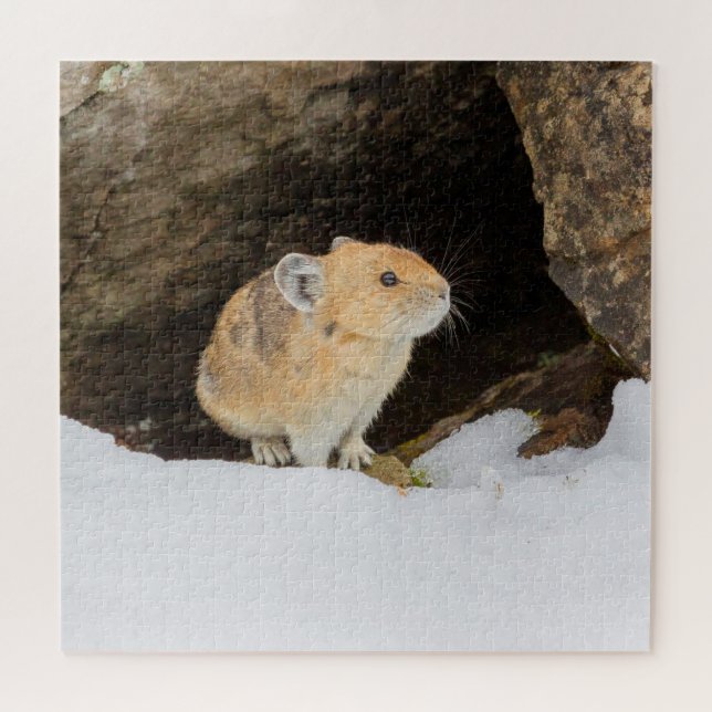 Pika In Snow Jigsaw Puzzle (Horizontal)