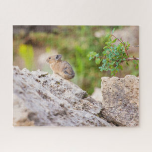 Pika Jigsaw Puzzle