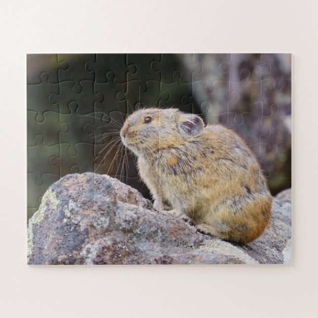 Pika Jigsaw Puzzle (Horizontal)