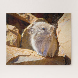 Pika Jigsaw Puzzle