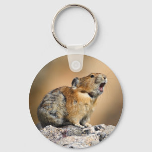 pika key ring