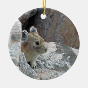 Pika Ornement Ceramic Ornament