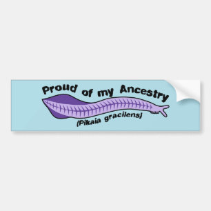 Pikaia - Proud of my Ancestry Bumper Sticker