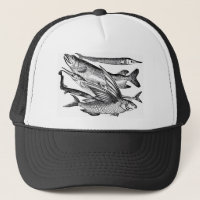Pike Family - Fish