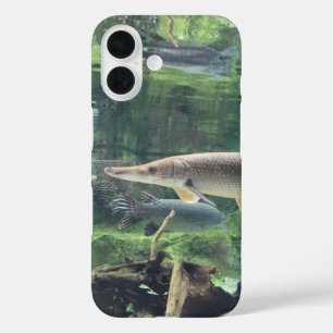 Pike Fish Ckear Water Photo iPhone 16 Case