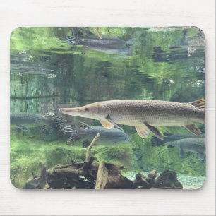 Pike Fish Mouse Pad