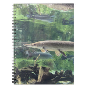 Pike Fish Notebook