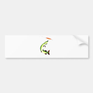 Pike fishing and fly fishing bumper sticker