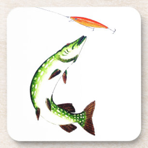 Pike fishing and fly fishing coaster