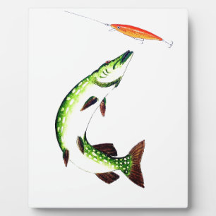 Pike fishing and fly fishing plaque