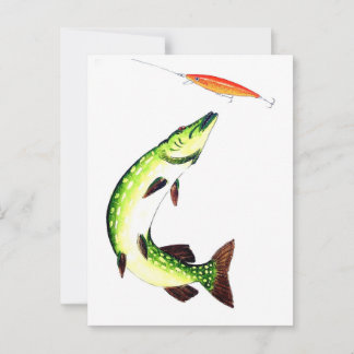 Pike fishing and fly fishing postcard