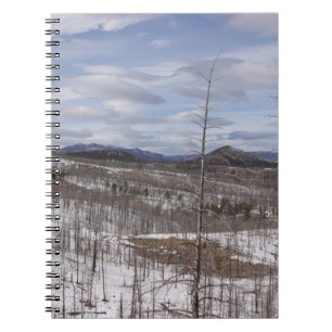 Pike National Forest Notebook
