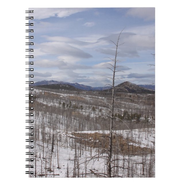 Pike National Forest  Notebook (Front)