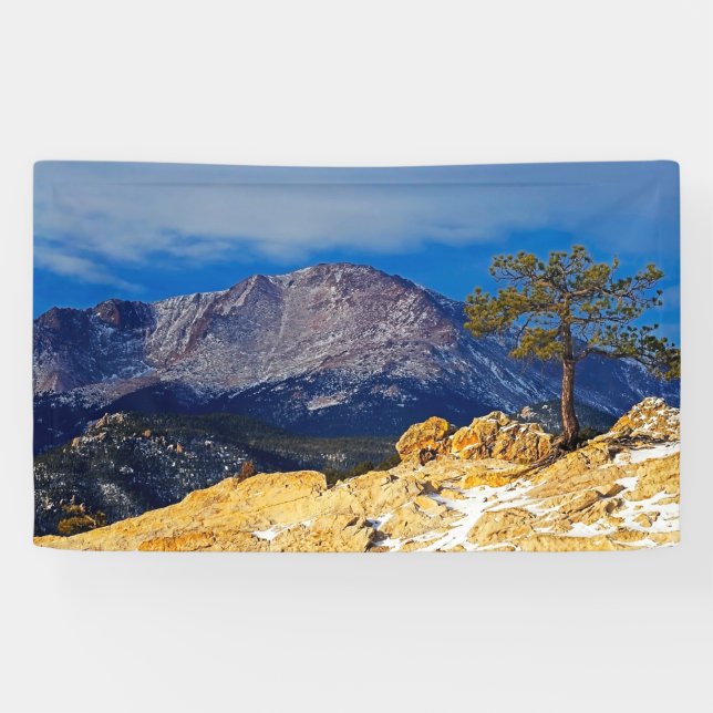 Pikes Peak with Tree in Foreground Banner (Horizontal)