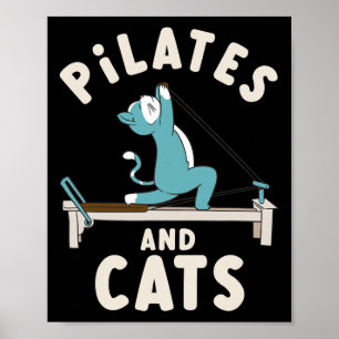 Pilates And Cats Yoga Pose Relaxation Poster