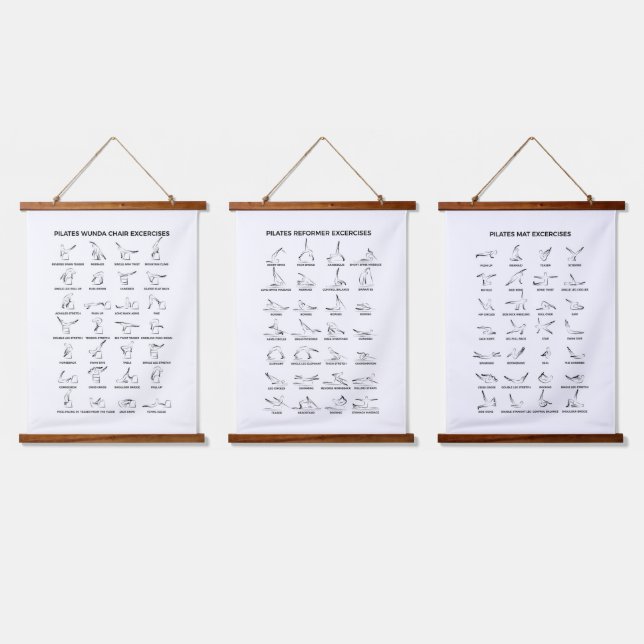 Pilates Exercises - Reformer, Wunda Chair, Mat Hanging Tapestry (Triple)