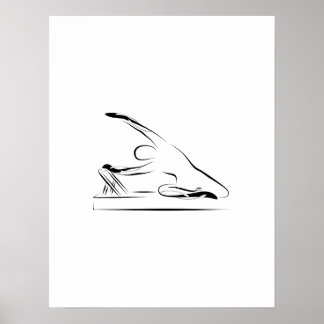 Pilates - mermaid on the reformer poster