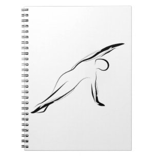 Pilates pose notebook