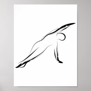 Pilates pose poster