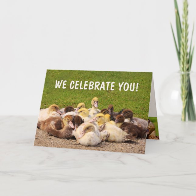 Pile O' Ducks Birthday Card (Front)