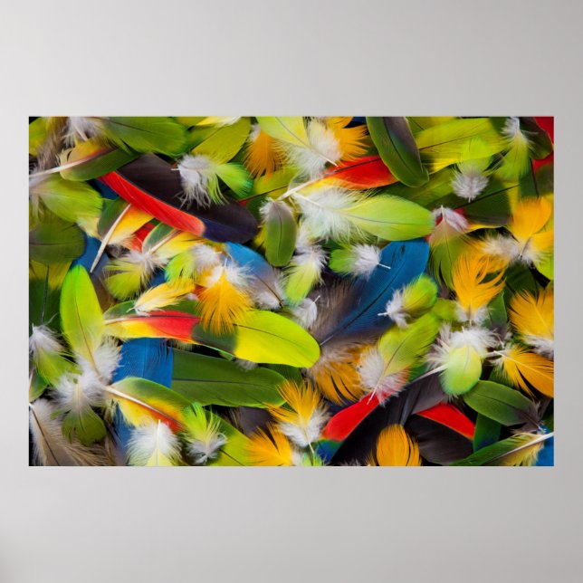 Pile of colorful feathers poster (Front)