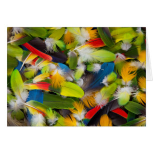 Pile of colourful feathers