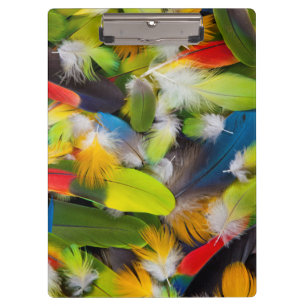 Pile of colourful feathers clipboard