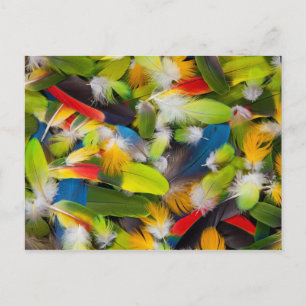 Pile of colourful feathers postcard