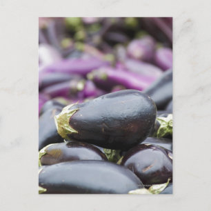 Pile of eggplant postcard