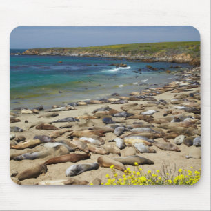 Pile of Elephant Seals Mouse Pad